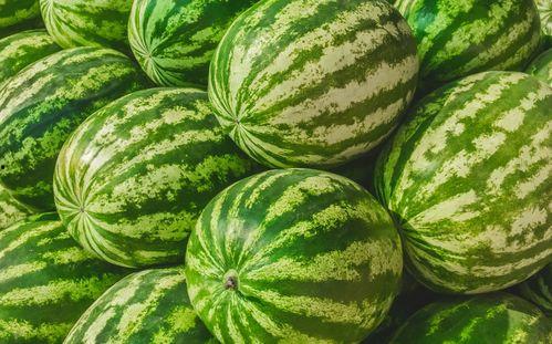 免费吃瓜在哪里,带你探索各大热门瓜分平台