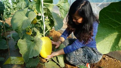 带你吃瓜诗歌,一场别开生面的诗歌盛宴