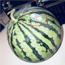 玉林网红吃瓜,揭秘当地美食背后的故事