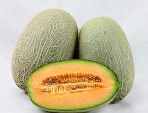 哈密瓜和芒果能同时吃不