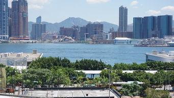 吃瓜海珠广场,海珠广场的“吃瓜”之旅