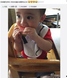 宝宝吃瓜围嘴,创意吃瓜围嘴大揭秘