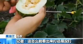 千万不要半夜吃瓜,揭秘为何千万不要半夜吃瓜